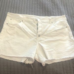 High rise plus shorts